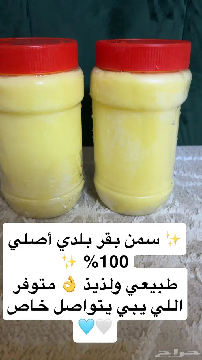 تم توفر سمن بقر من القصيم 0