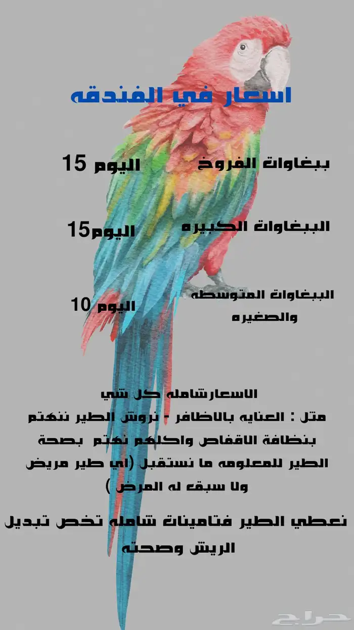 فندقة اصدقاء ميلو 6