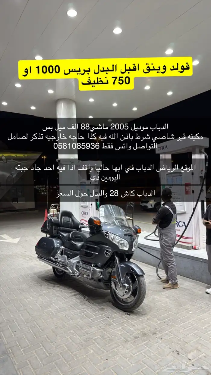 قولد وينق اقبل البدل 0