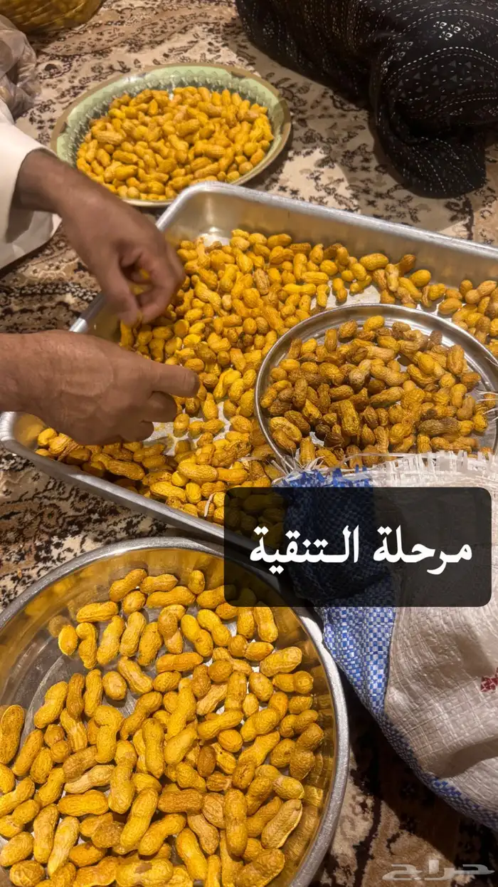 رياض الخبراء 0