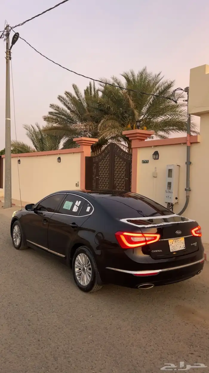كادينزا 2015 1