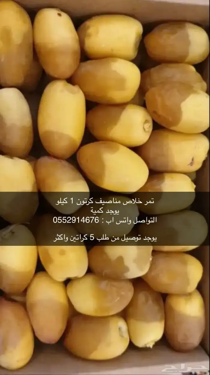 تمر خلاص مناصيف - حائل الطلب على الحجز 0