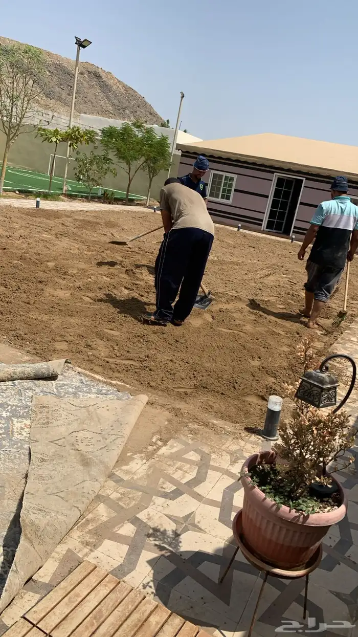 نجيله طبيعي مشروطه مضمونه 9
