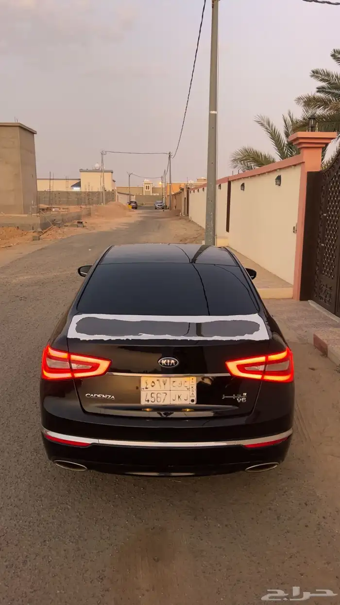 كادينزا 2015 0