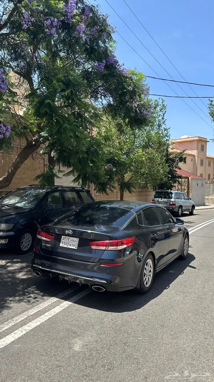 ابتماء 2019 2