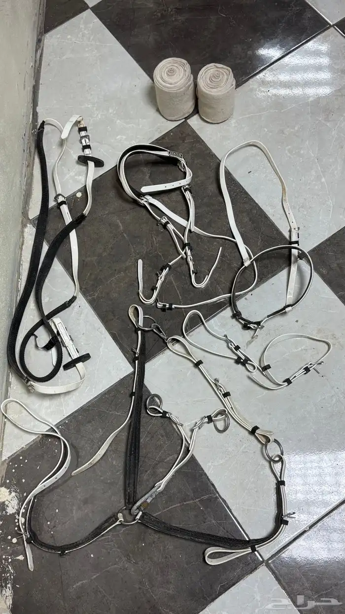 سرج خيل وشكايم متنوعه 8