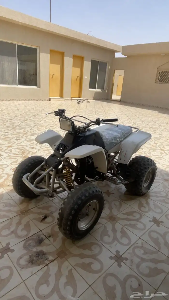 دباب 2