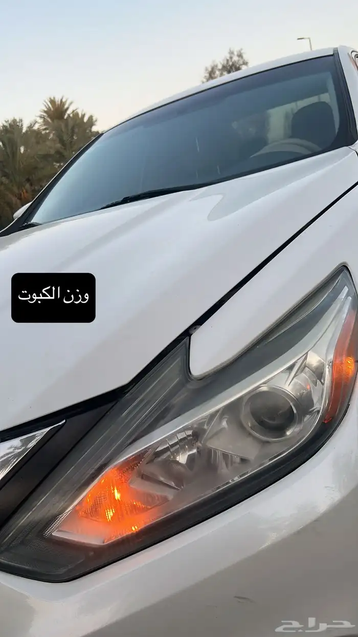 ( التيما سبيشل سعودية للبيع ) 3