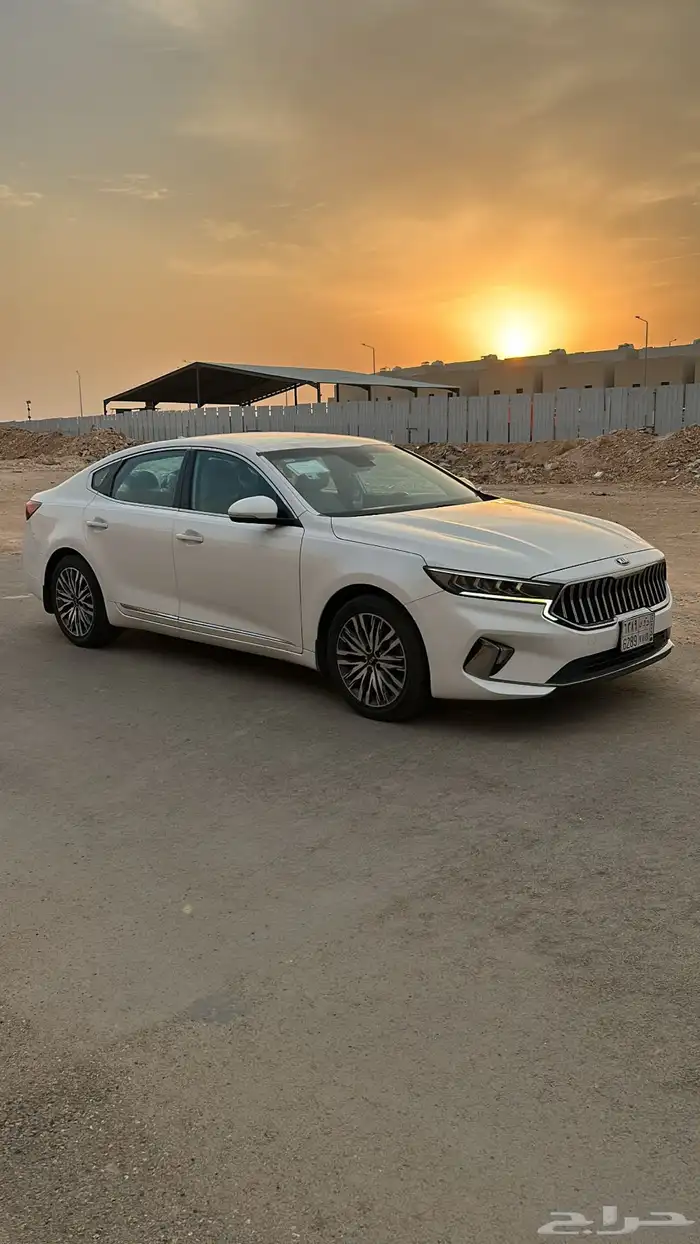 كادينزا 2021 2