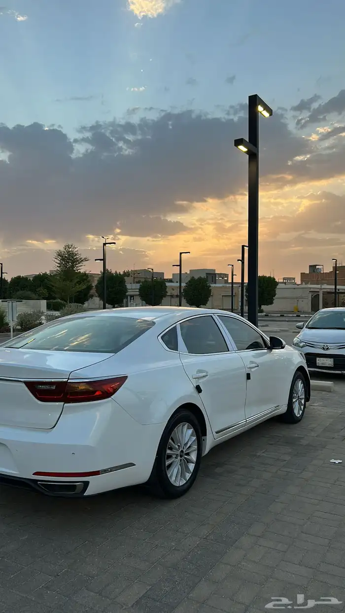 كادينزا للبيع 4