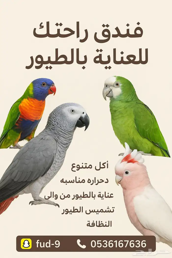 فندقة طيور 0