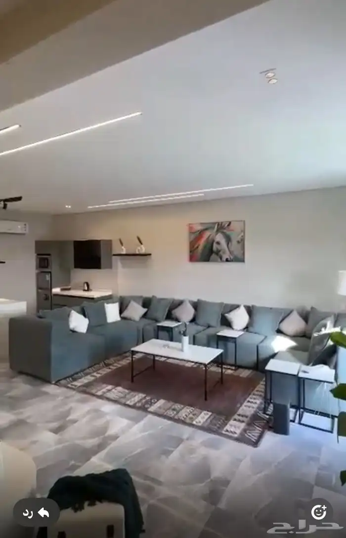 شاليه بالأثاث فندقي فاخر مطل على المطار في طريق الميه 0