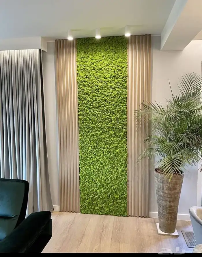 ديكورات ودهانات 13