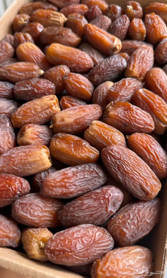 تمر فاخر سكري مفتل جلكسي هشيشي مجدول 9