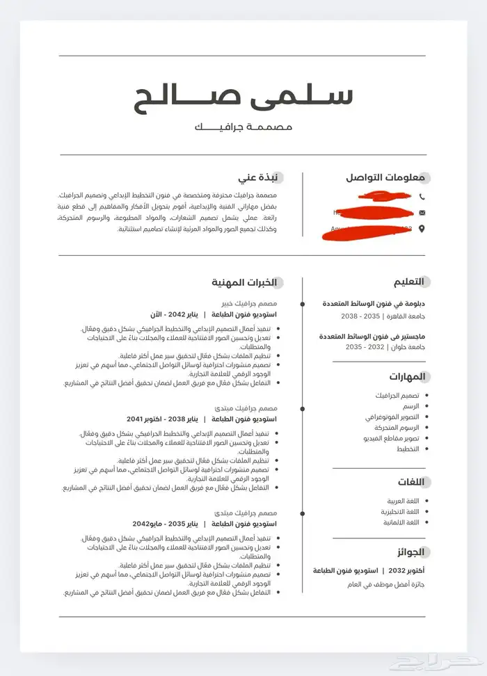 اجهز cv عربي وانجليزي بسعر مناسب للجميع 2