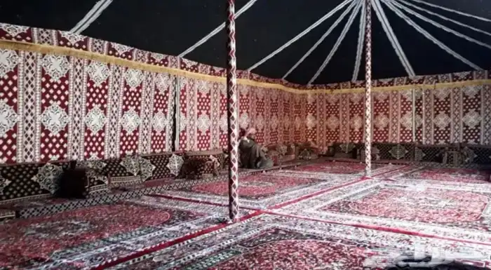 لبيع بيوت الشعر التركي الأصلي نسبة الشعر 70 100 6