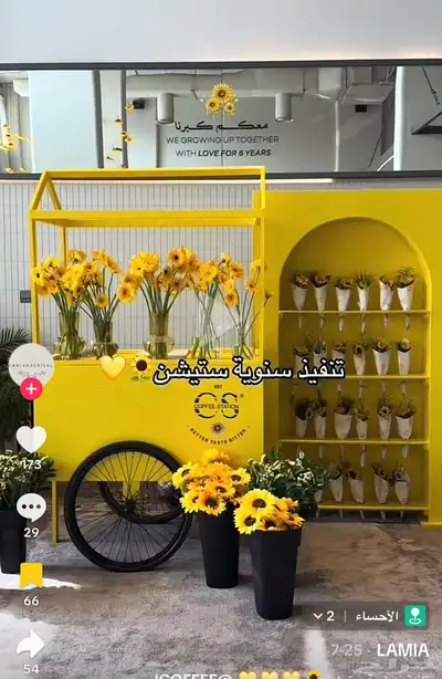احتاج عربية تاجير يوم واحد 0
