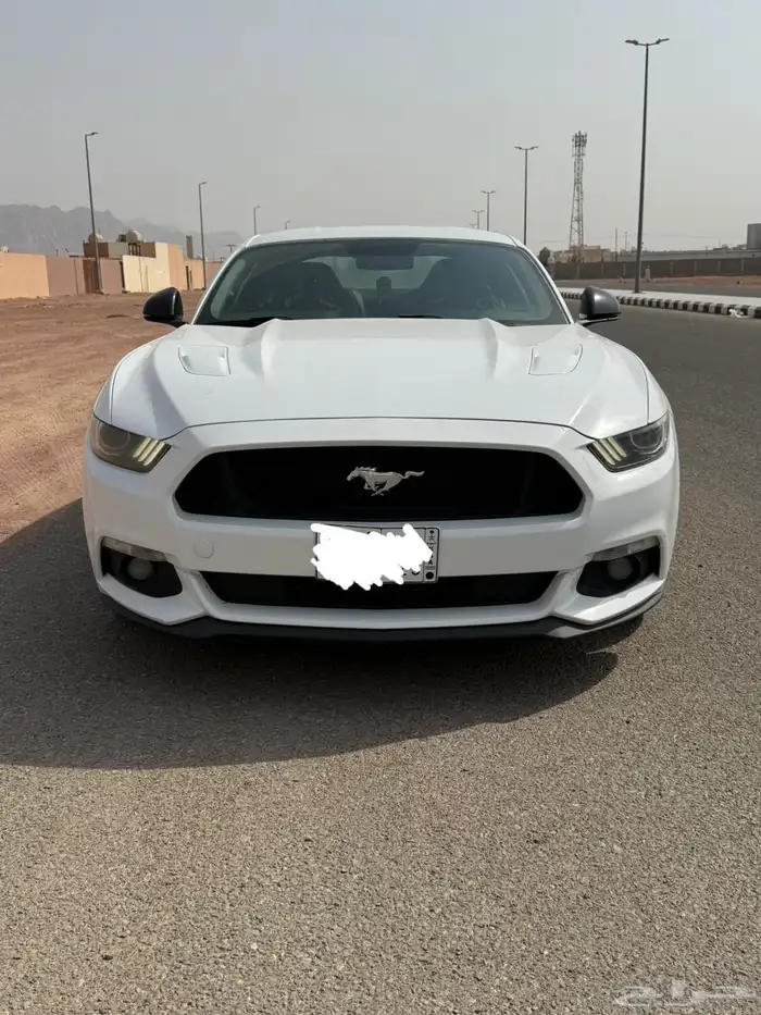 للبيع موستنج 2015 7