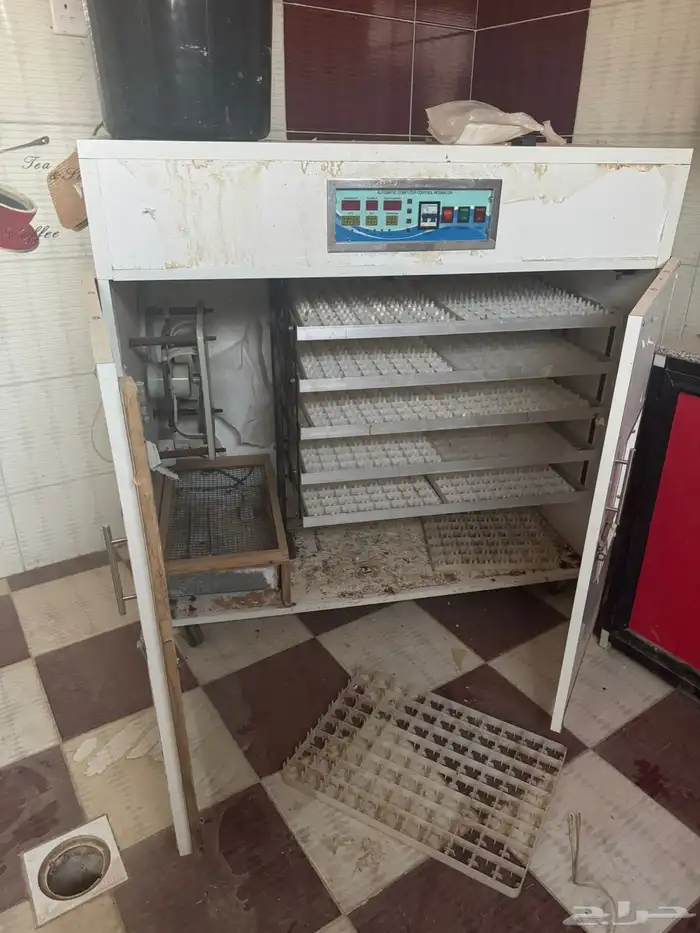 فقاصة بيض 2