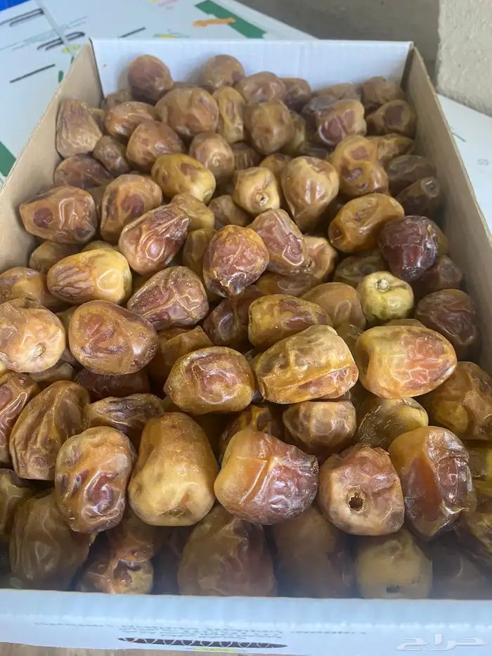 للبيع تمر سكري مفتل ورطب 0