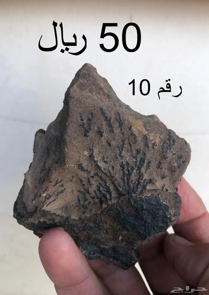 حجر طبيعي بأشكال مميزة ونقوشات طبيعية 100 9