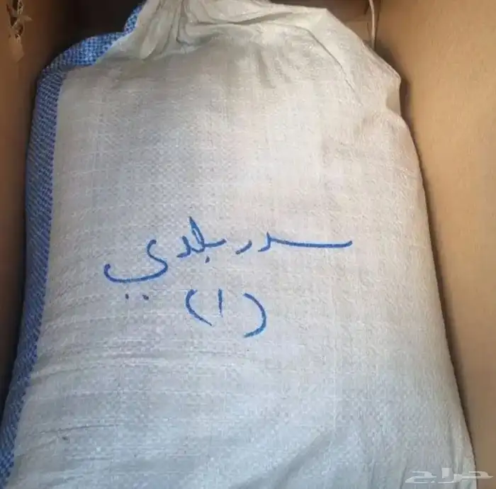 سدر بلدي عضوي 1