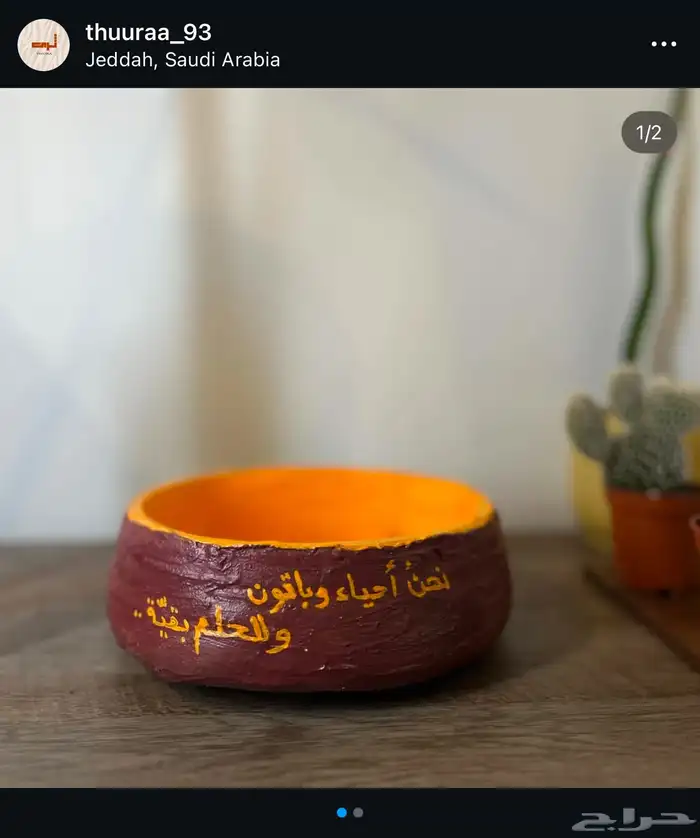 هدايا نباتات وأحواض 4