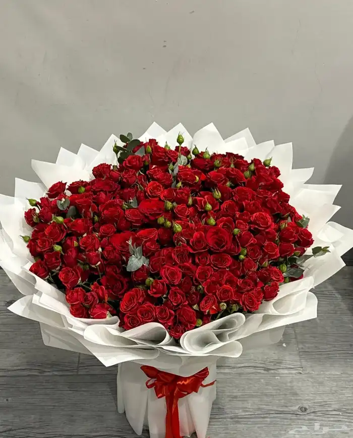 مندوب توصيل ابها 1