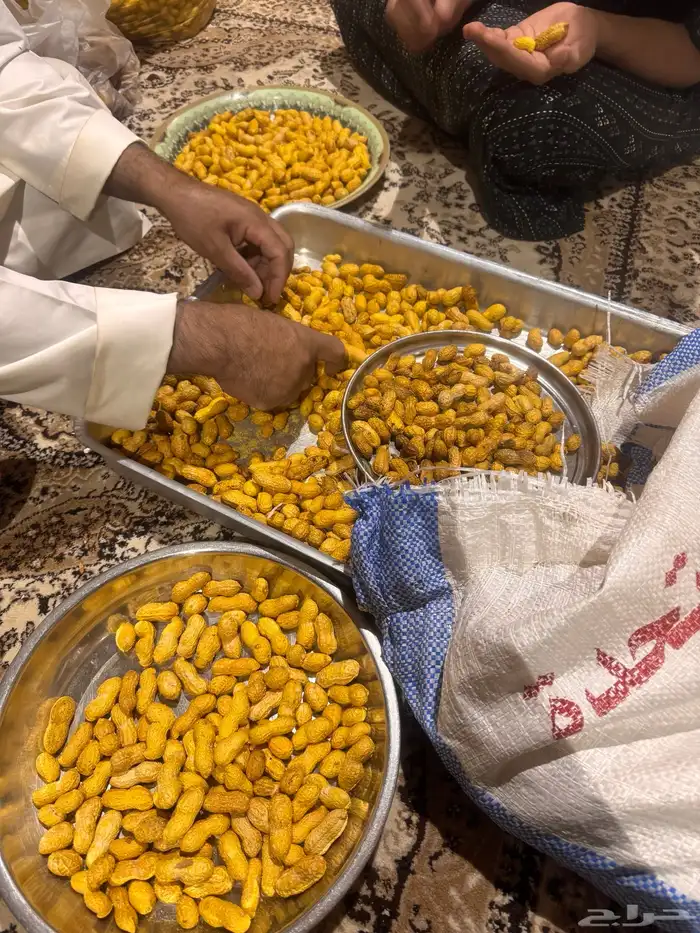 رياض الخبراء 1