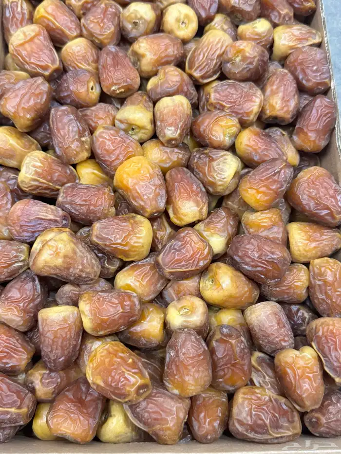 تمر سكري جالكسي فاخر ومفتل درجة اولى 5