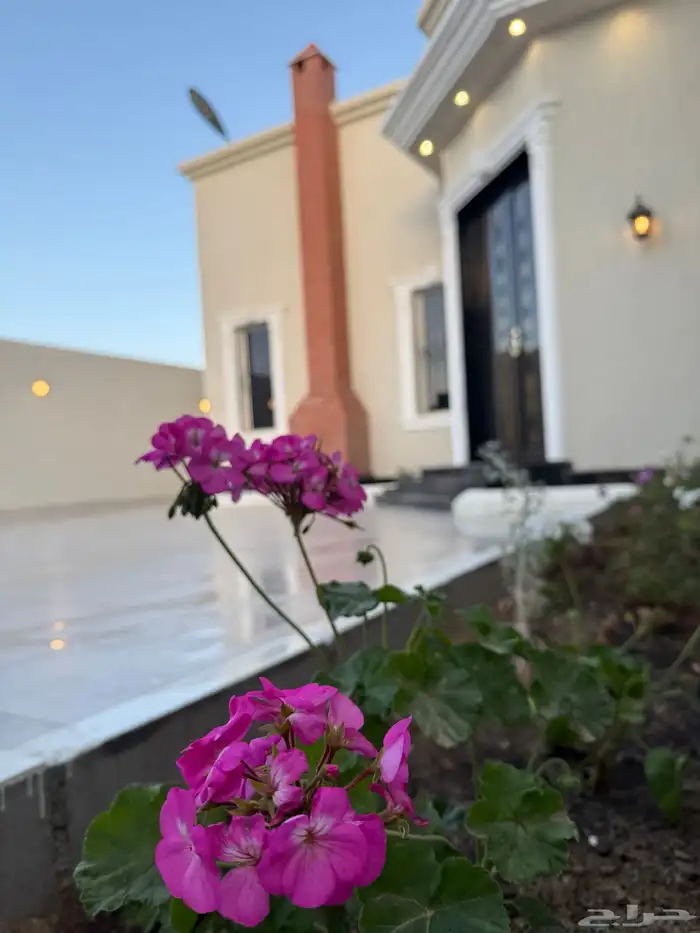 استراحة وشاليه الورد 6