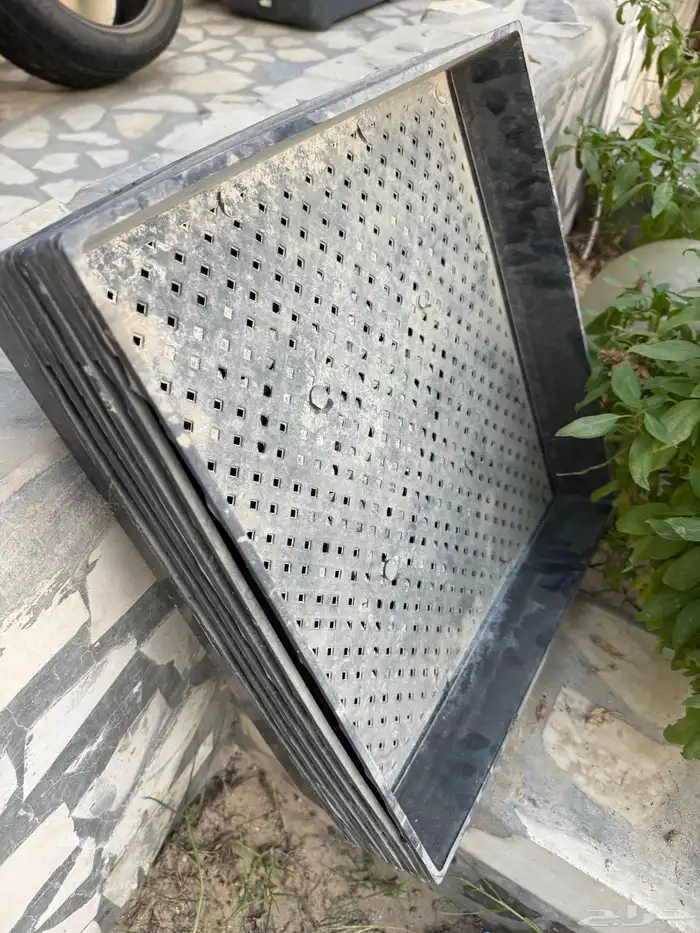 الاحساء للبيع صحون استنبات شعير شبه جديد 4