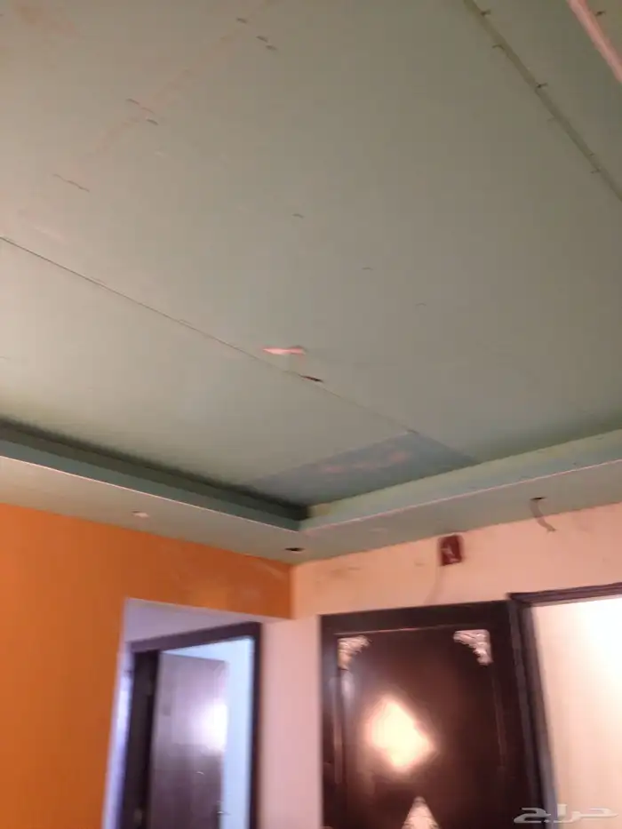 جبس بورد نيوم 3