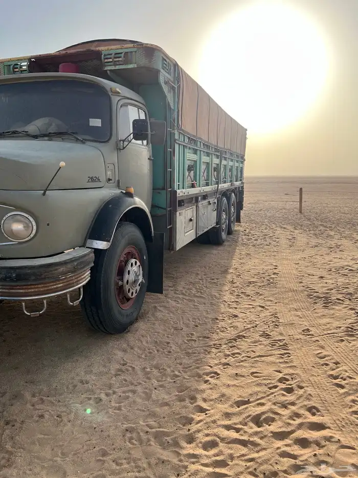 سقس خياره مديل 77 شرط 0