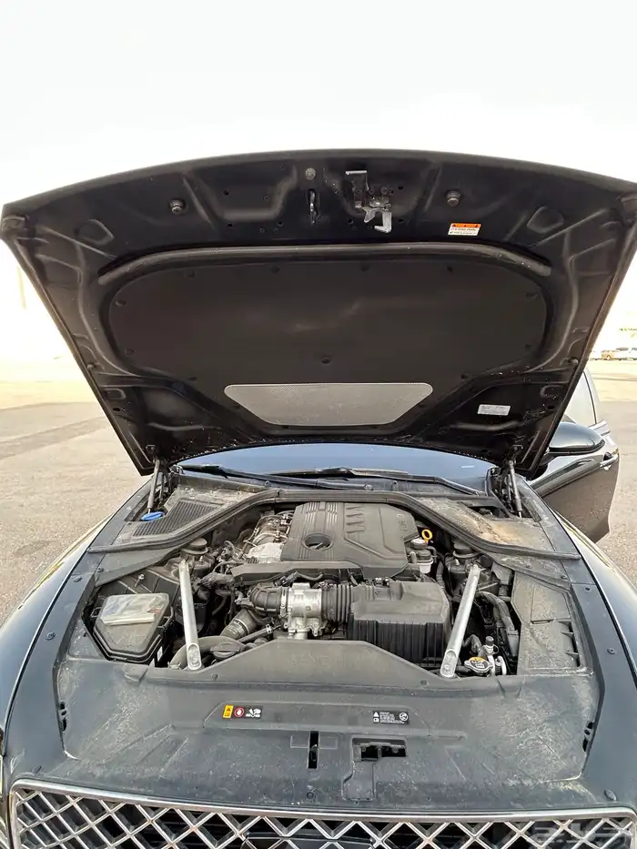 جنسس G 80 بطاقه جمركيه 2021 25