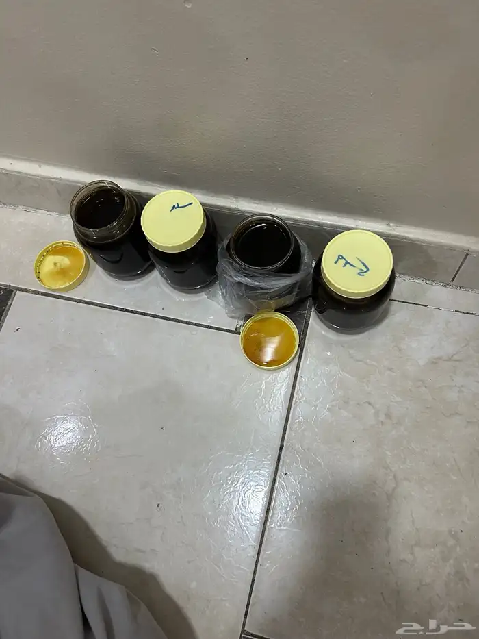 عسل سدر وطلح علي الشرط 2