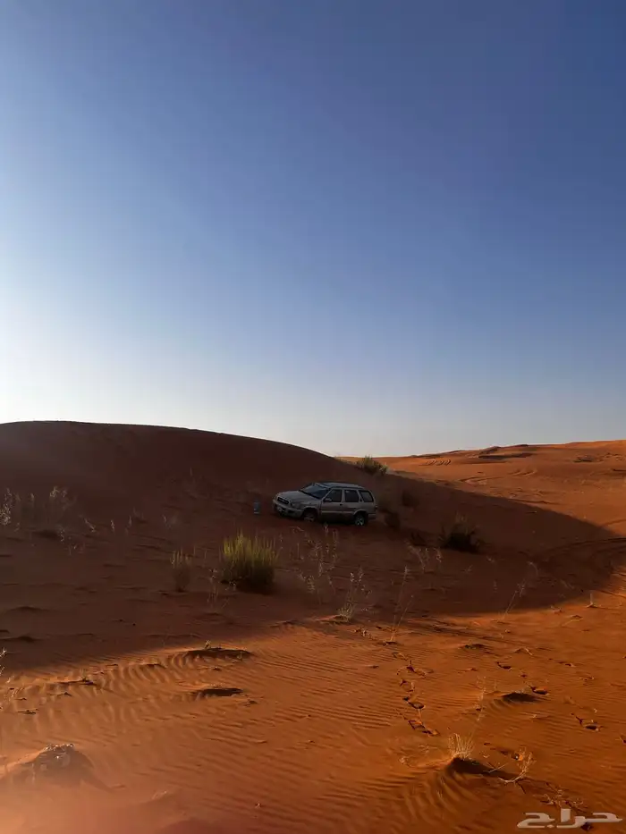 باثفندر 2003 3