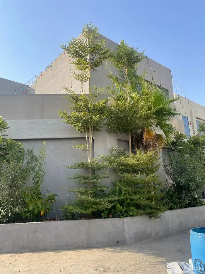تنسيق حدائق 1