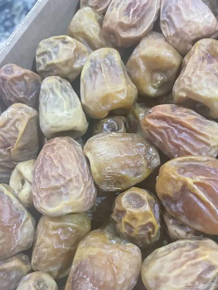 تمر القصيم سكري فاخر 1