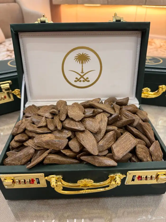 عود ملكي   معمول دوسري 4