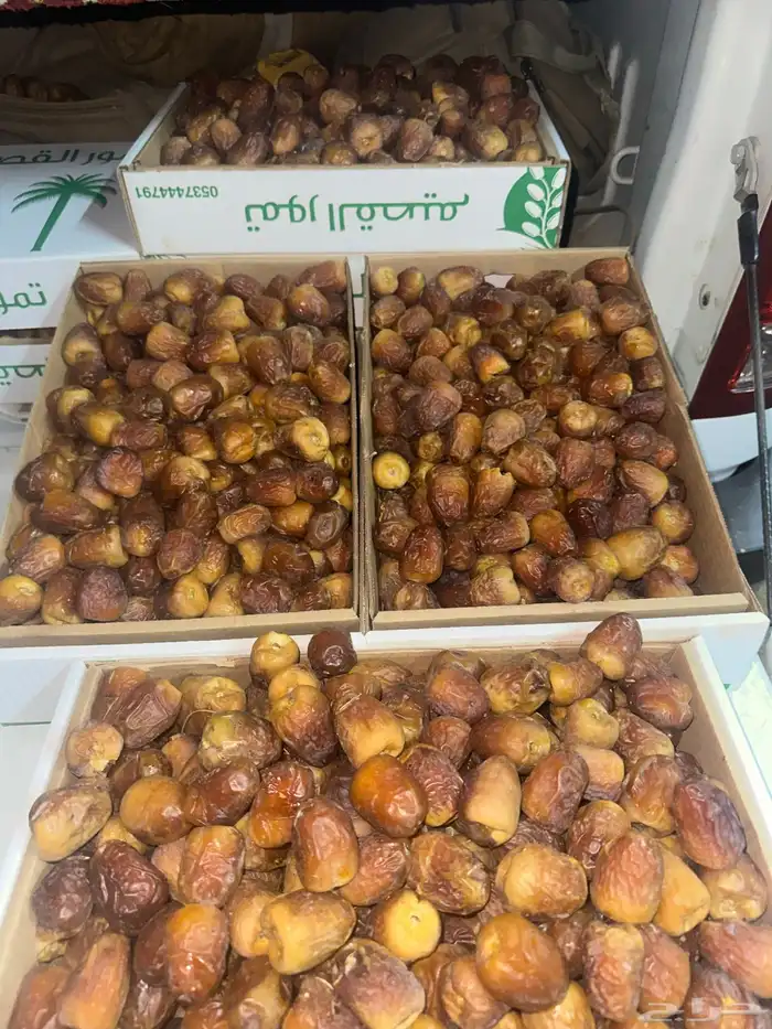 تمر سكري جلكسي حبه كبيره 5