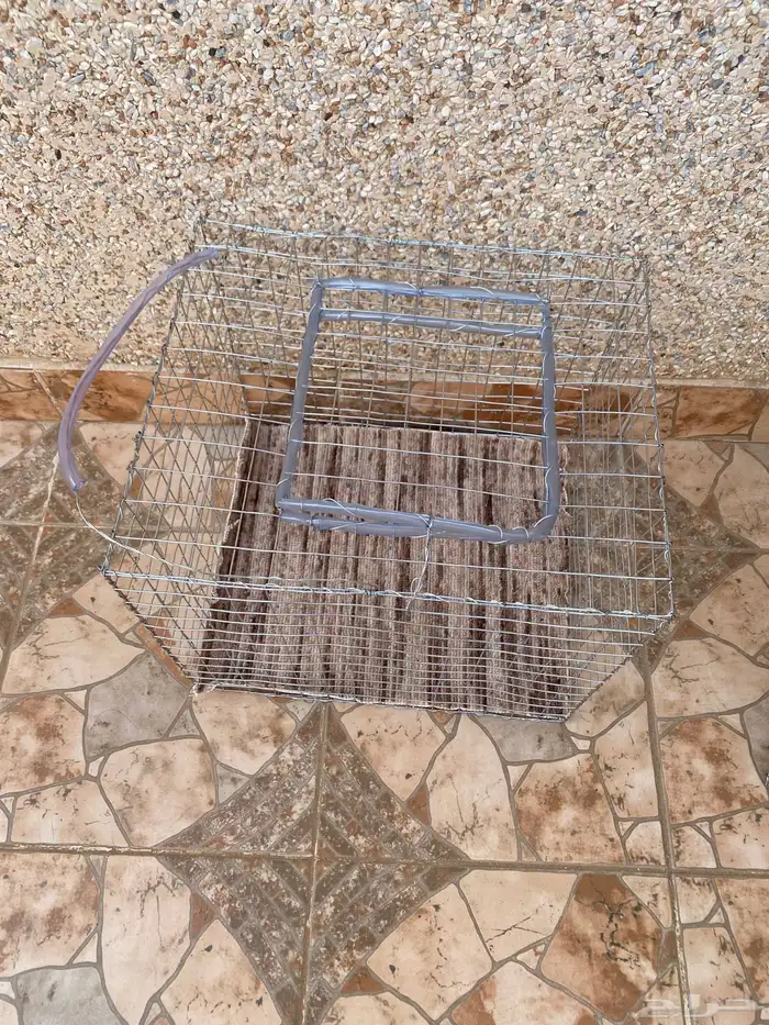 شبوك 1