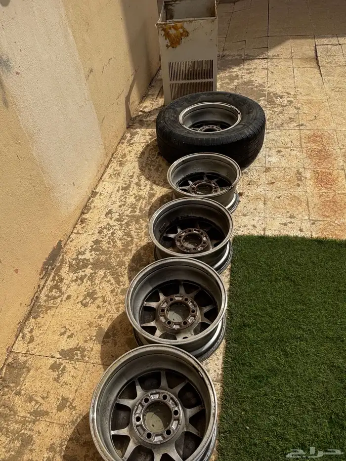 جنوط أفجي 2010 للبيع و البيع سمح 2
