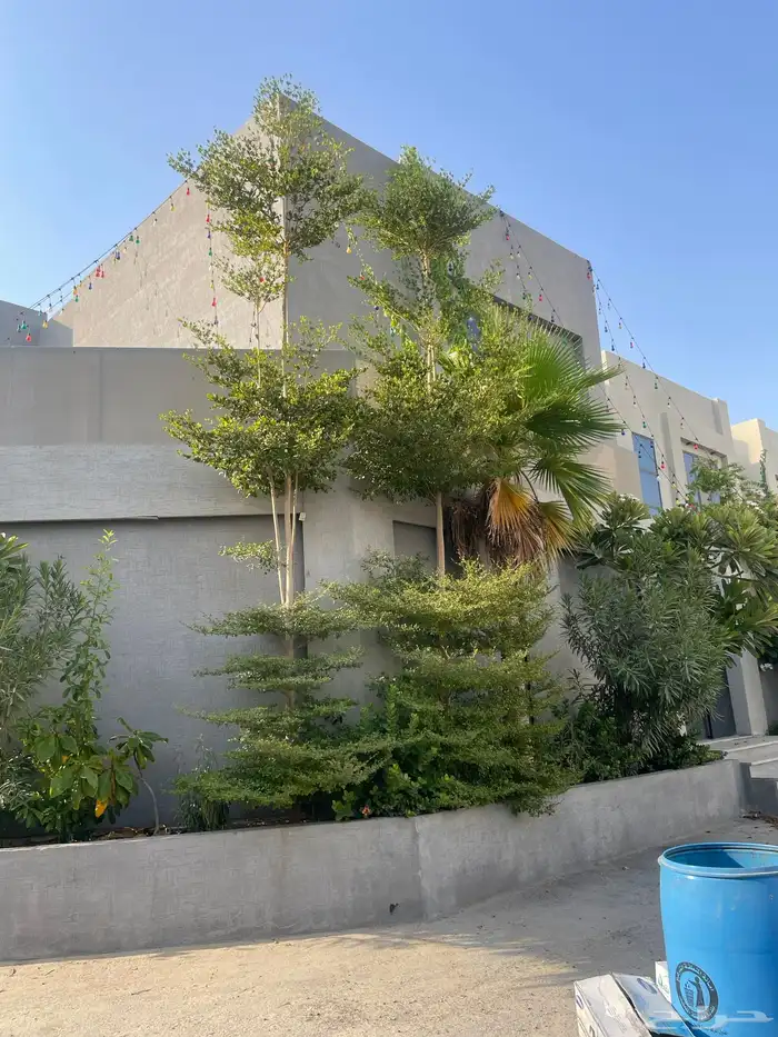 تنسيق حدائق 0