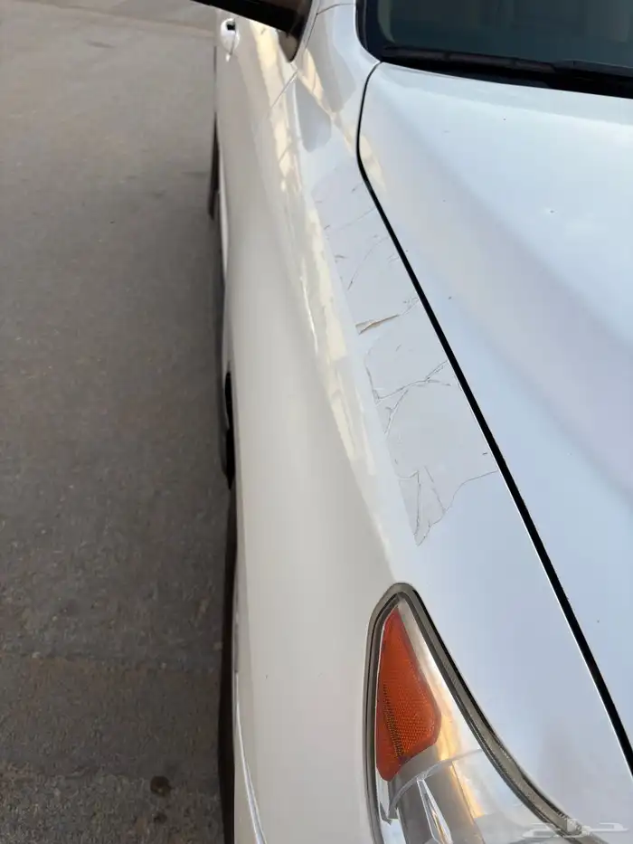 سكويا 2015 دبل نظيف 10