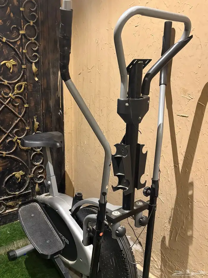 الغزال الطائر 0