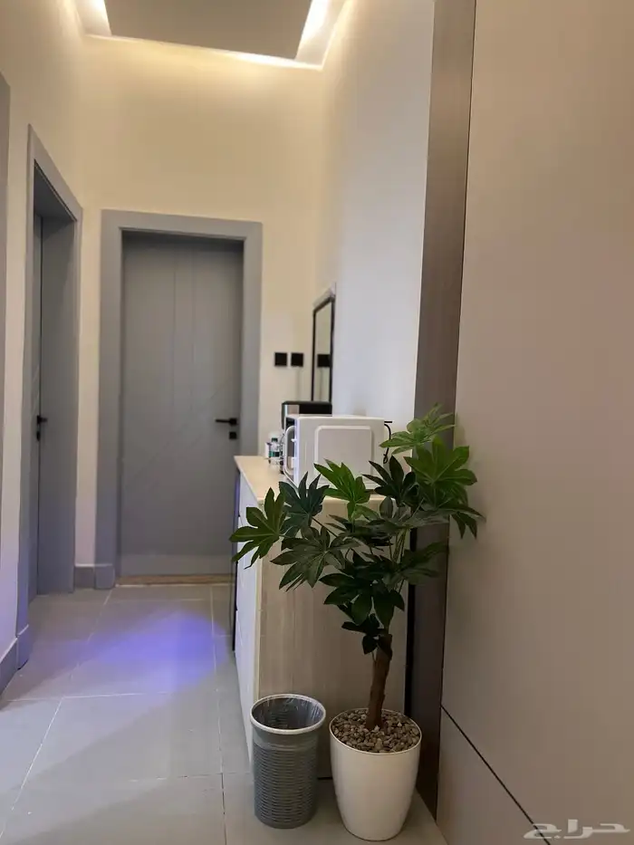 شقه للايجار 6