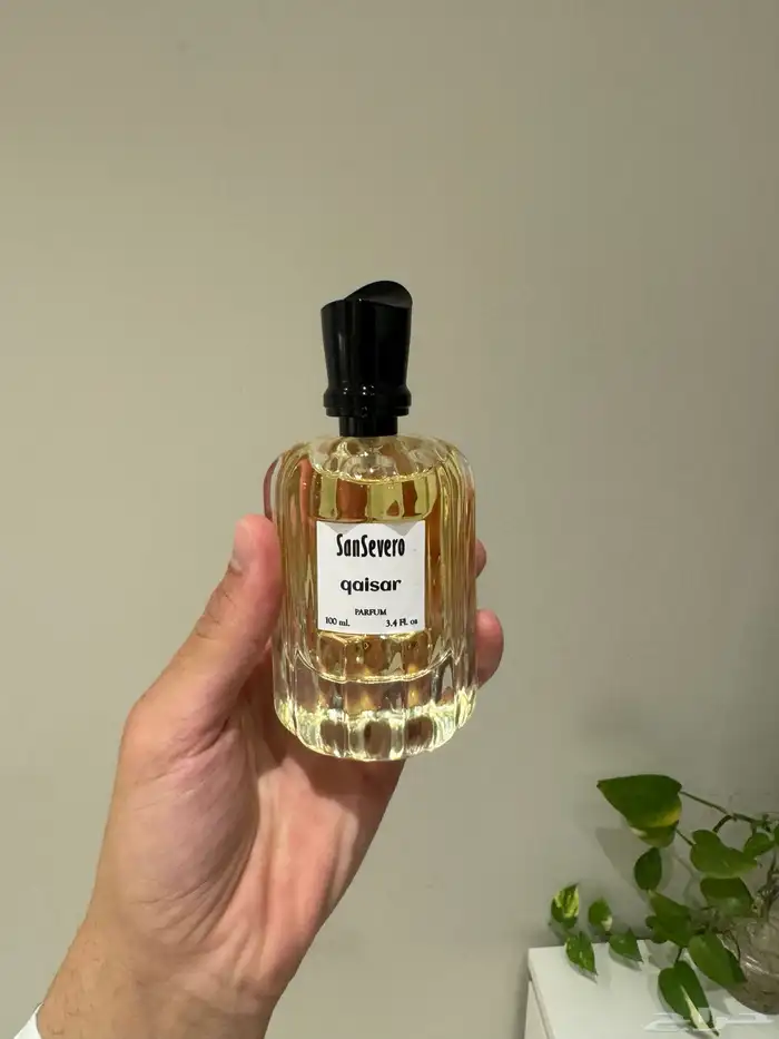 عطر قصير سان سيفيرو 1