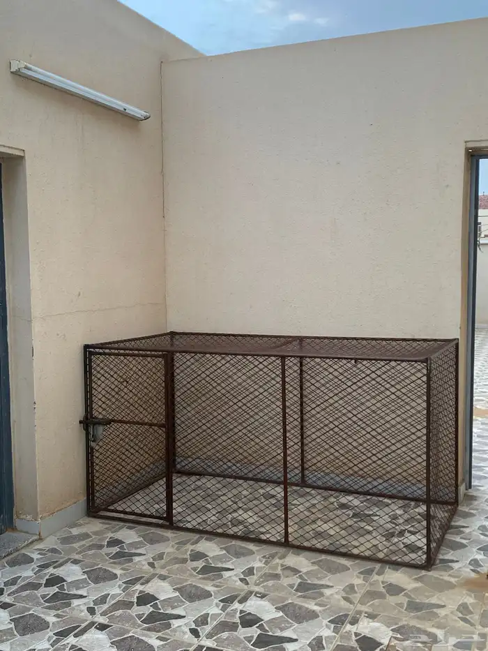 شبك دجاج 1