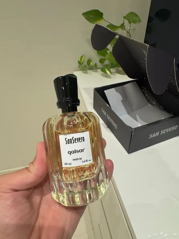 عطر قصير سان سيفيرو 0